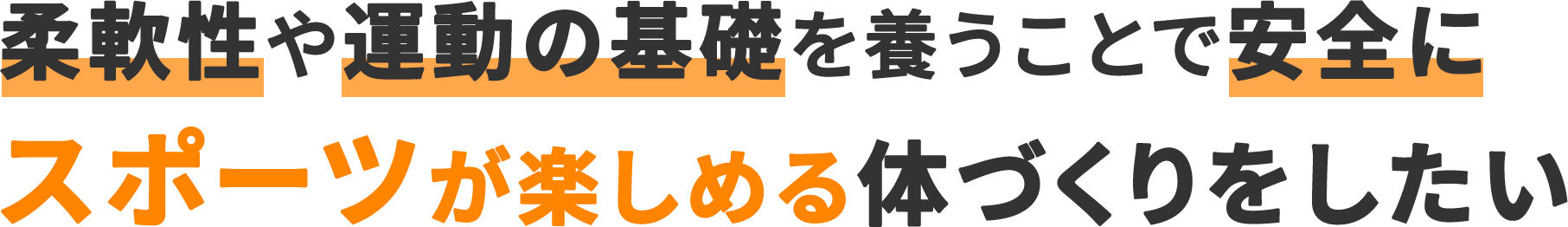 柔軟性や運動の基礎を養うことで安全に
                                    スポーツが楽しめる体づくりをしたい